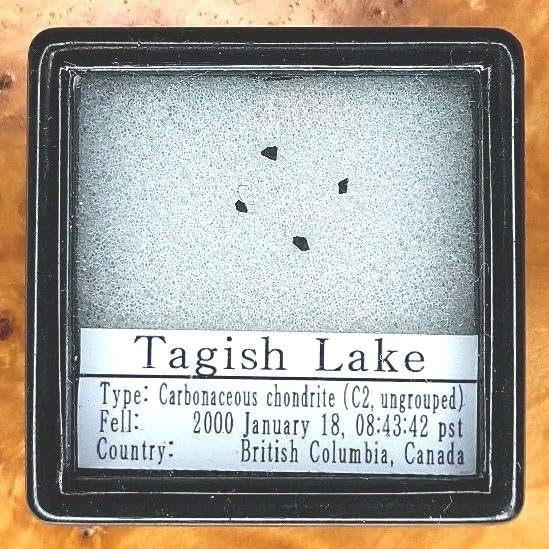 彗星のカケラ！Tagish Lake 隕石 標本 【公式通販】