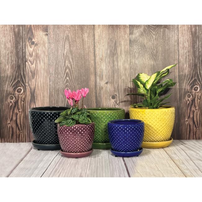 スペースエイジ　Vernnrpanton flower pot Amazon.com: Aspen & Fig Iris Dark Purple 8 Inch Indoor Ceramic
