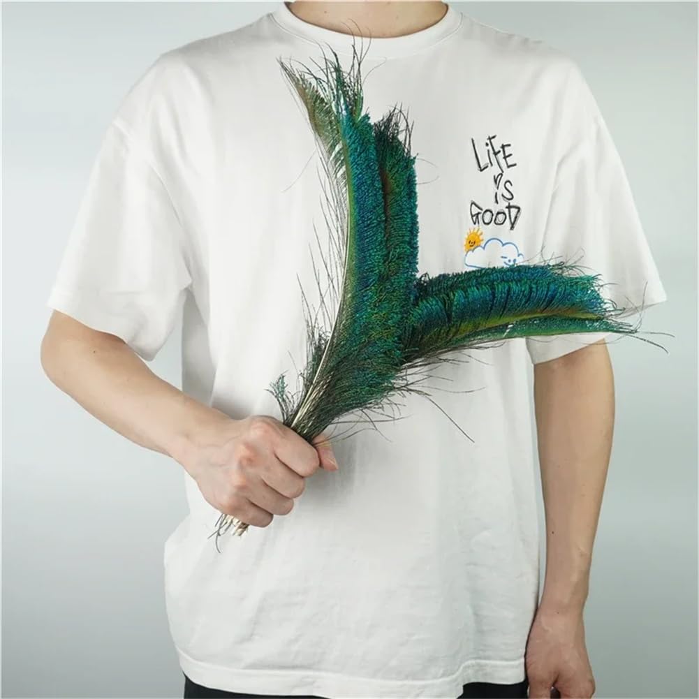 Natural Pheasant Feathers, Natural Peacock Feathers 20 pcs, Holiday Wedding DIY Vases Decor, Color(Peacock Ling)