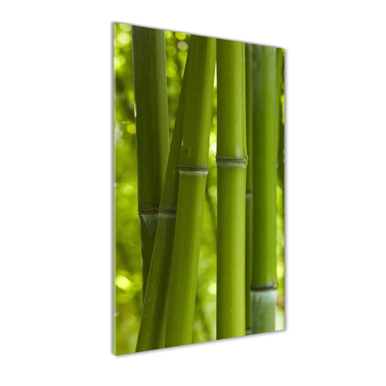 Mural Art Forêt de Bambous Tulup 50x100 - Rompez la Monotonie de Vos Murs