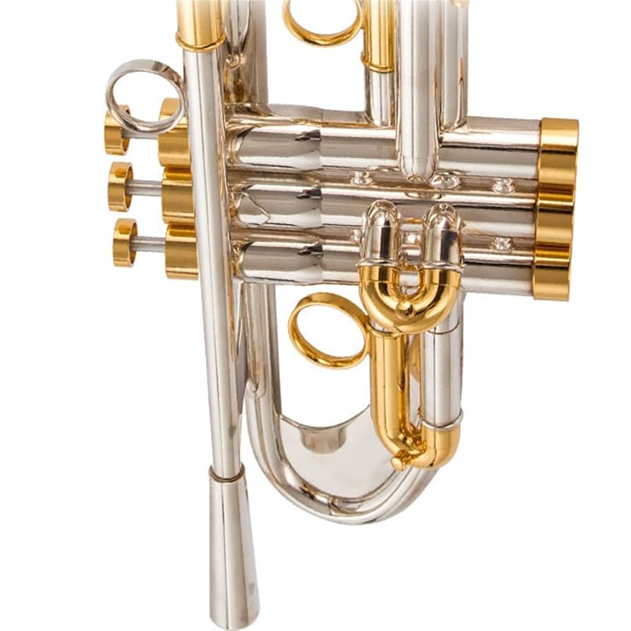 Amazon.com - Brass Instrument Falling B Tone Silver-Plated