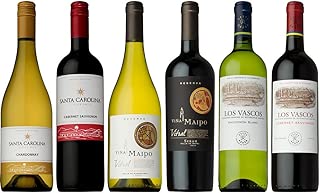 アンデスの麓で太陽をいっぱい浴びたしっかり味のチリ酩譲ワイナリー6本セット [ 750mlx6本 ]