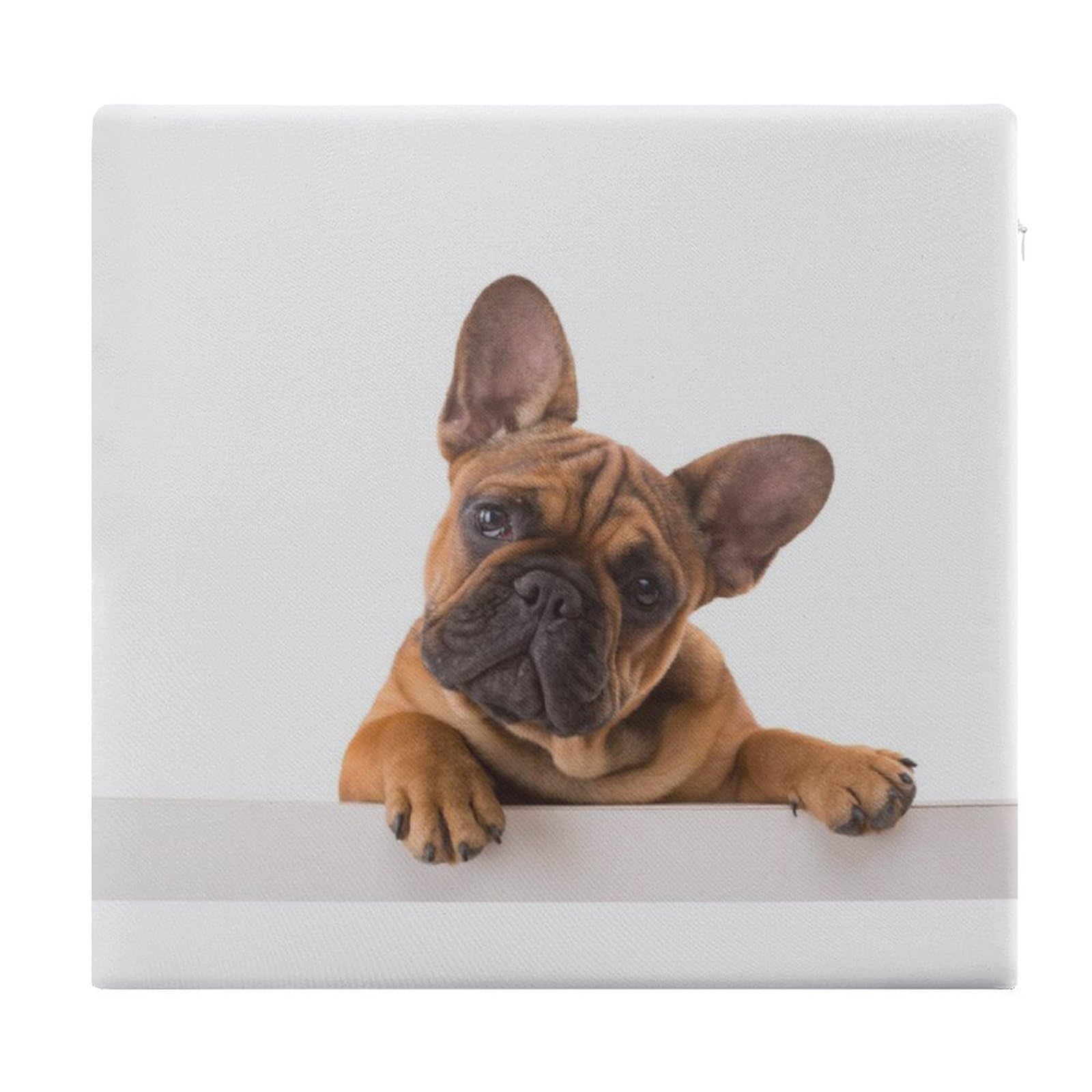 JZemdybill Chair Pad, French Bulldog Paw And Dog Seat Pad, Square Chair Cushion for Yoga Living Room Balcony