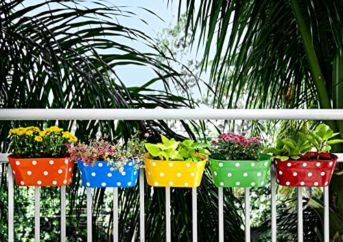 Amazon Brand - Solimo Metal Oval Shaped Planters with Hook (Set of 5)