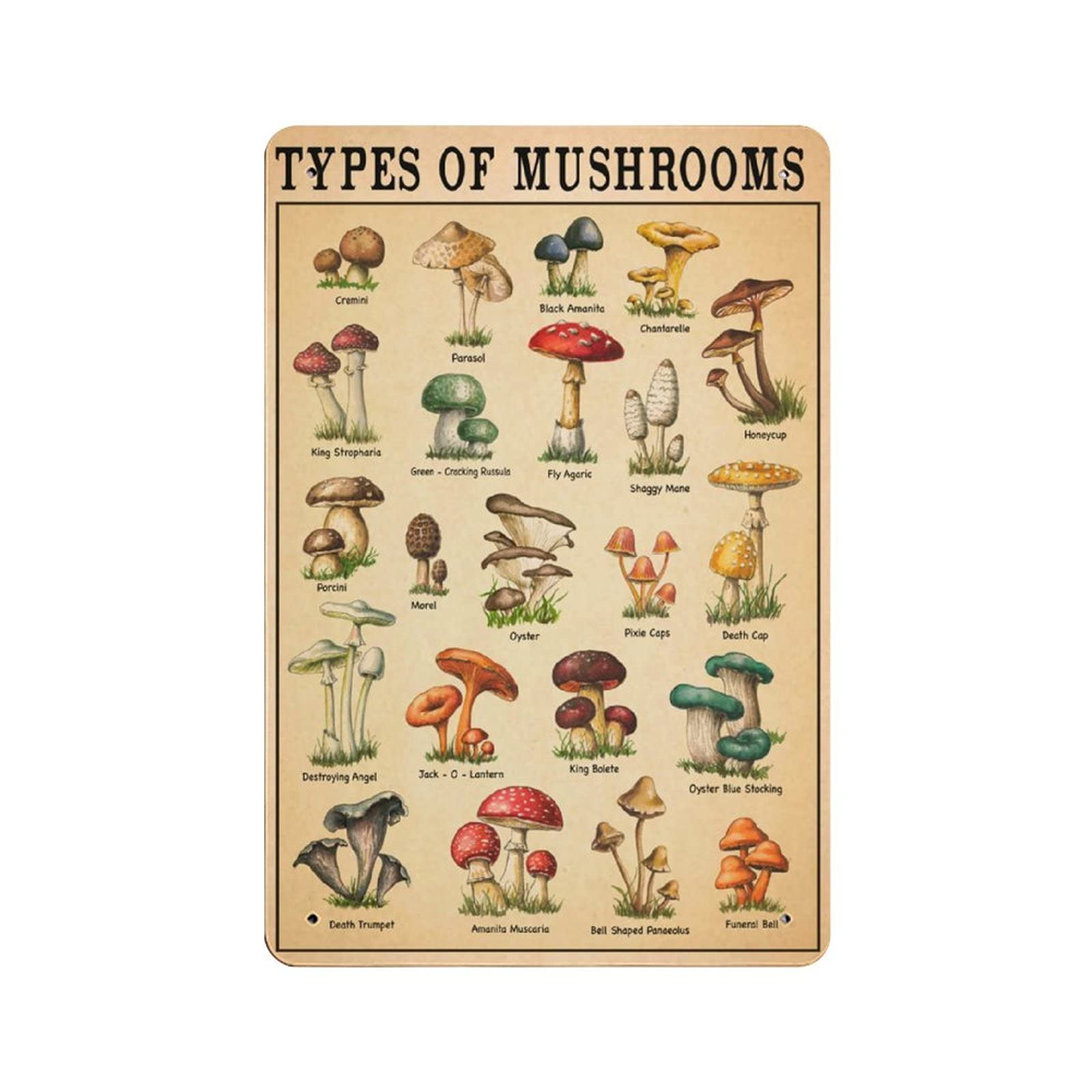 Kwqdozf As Pic Vintage Metal Tin Sign Mushroom Types Chart Wall Art Home 8X12 Inch