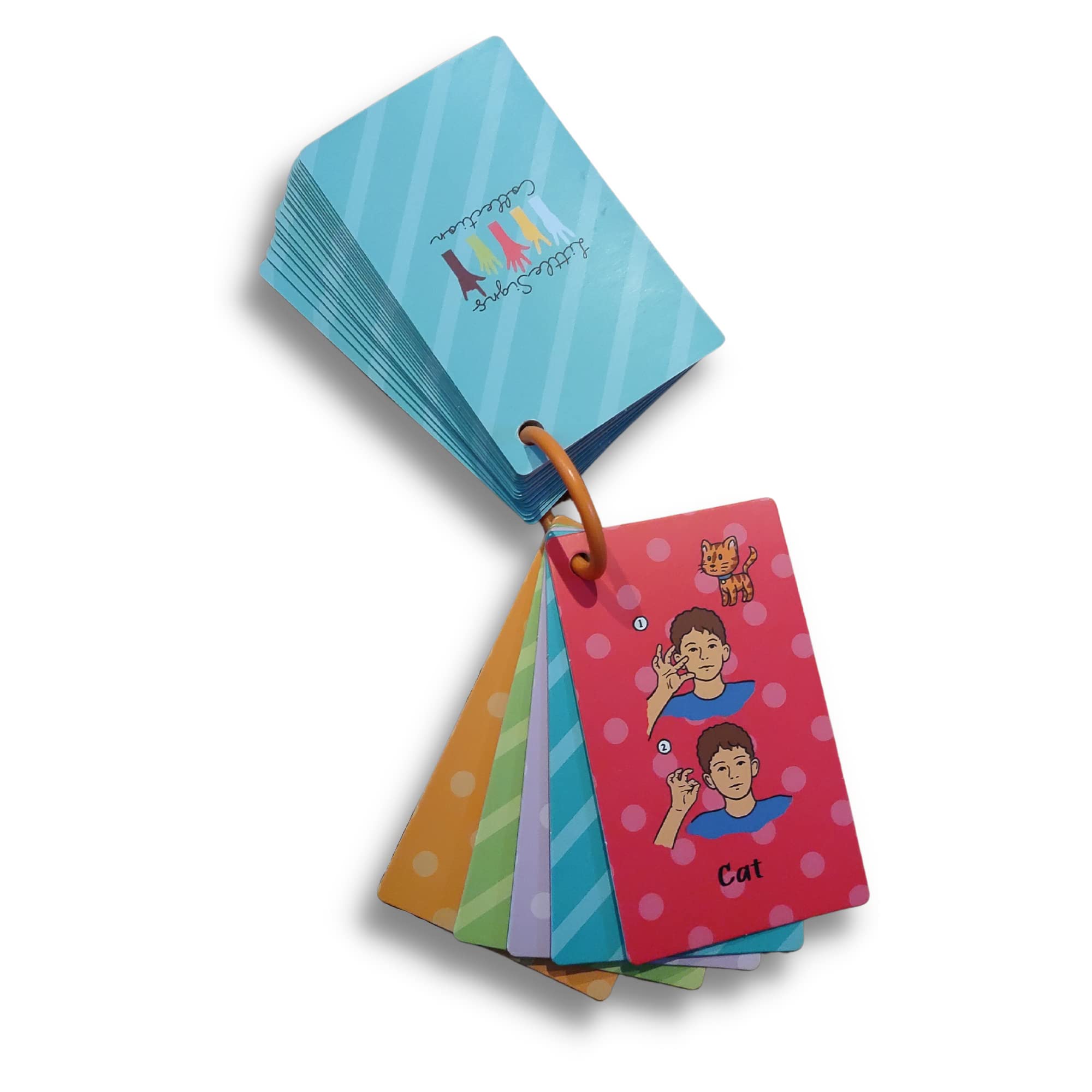 Buy Little Signs Collection Baby's First Words Sign Language Flash