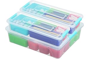 Removable Divided Craft Storage with Latches