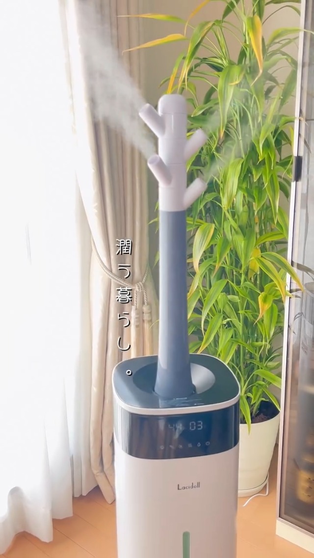 Amazon.co.jp: LACIDOLL 加湿器 大容量 スチーム式 ハイブリッド式