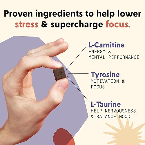 Miniatura 5 de PYM Attention - Masticables de apoyo para procrastinación, concentración y productividad, 60 unidades  518 mg de L-carnitina, 54 mg de tirosina, 11