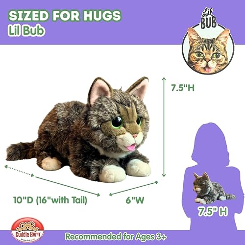 Miniatura 2 de Cuddle Barn - Lil BUB | Peluche de gatito suave y adorable, juguete de animal de peluche, 10 pulgadas