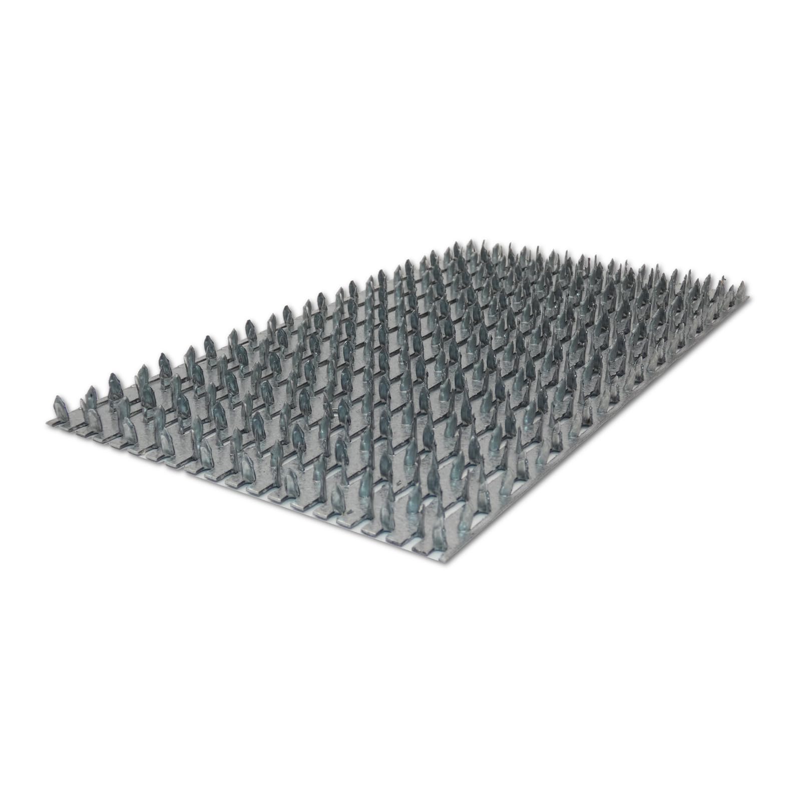 DEWEPRO Profi Edelputzkratzer inkl. 2 Ersatzblätter - Putzkratzer - Raspelbrett für Mineralputz - Abmessung: 250x135mm