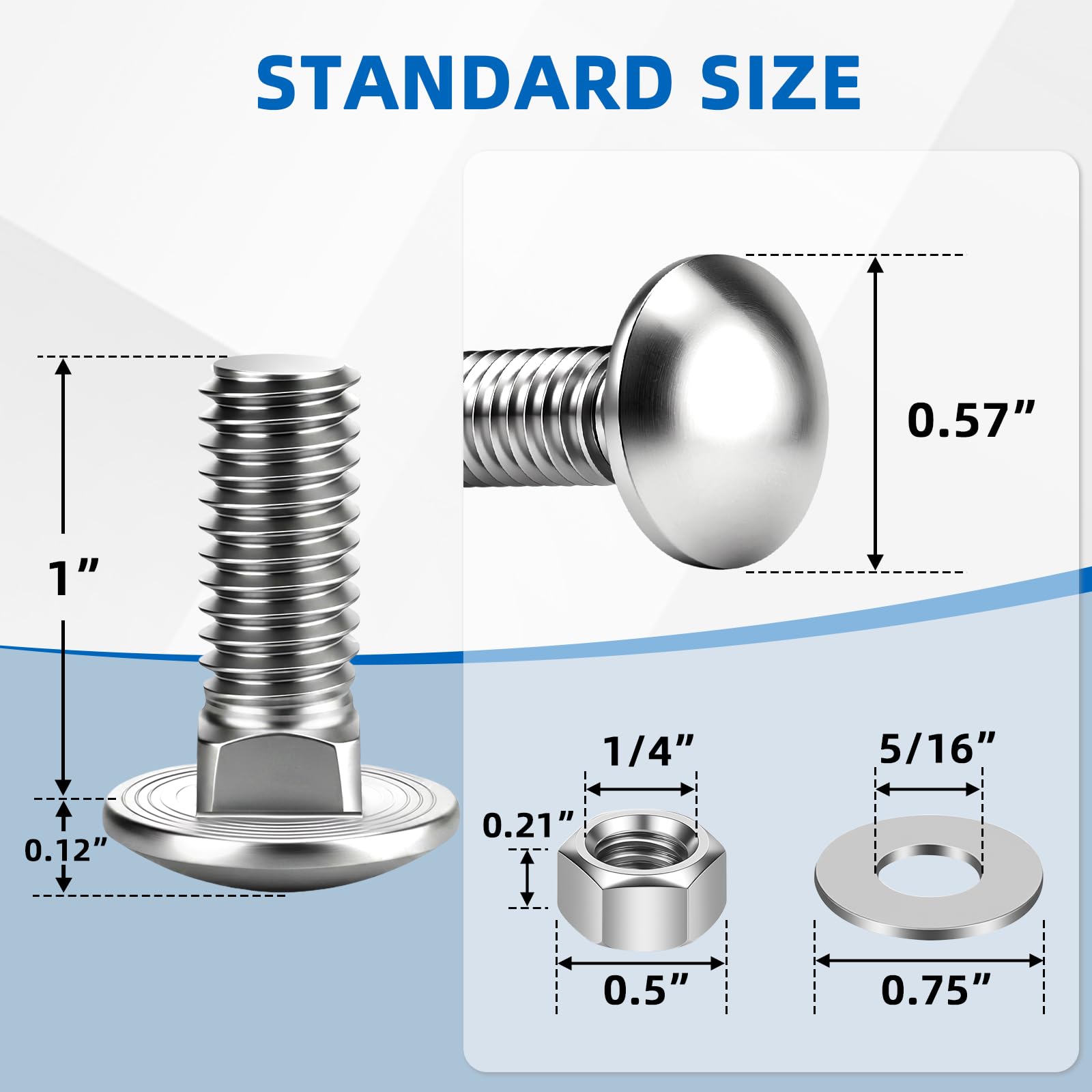 Mellewell Stainless Steel Carriage Bolt Kit - 12 Sets -2 Mellewell Stainless Steel Carriage Bolt Kit - 12 Sets -2