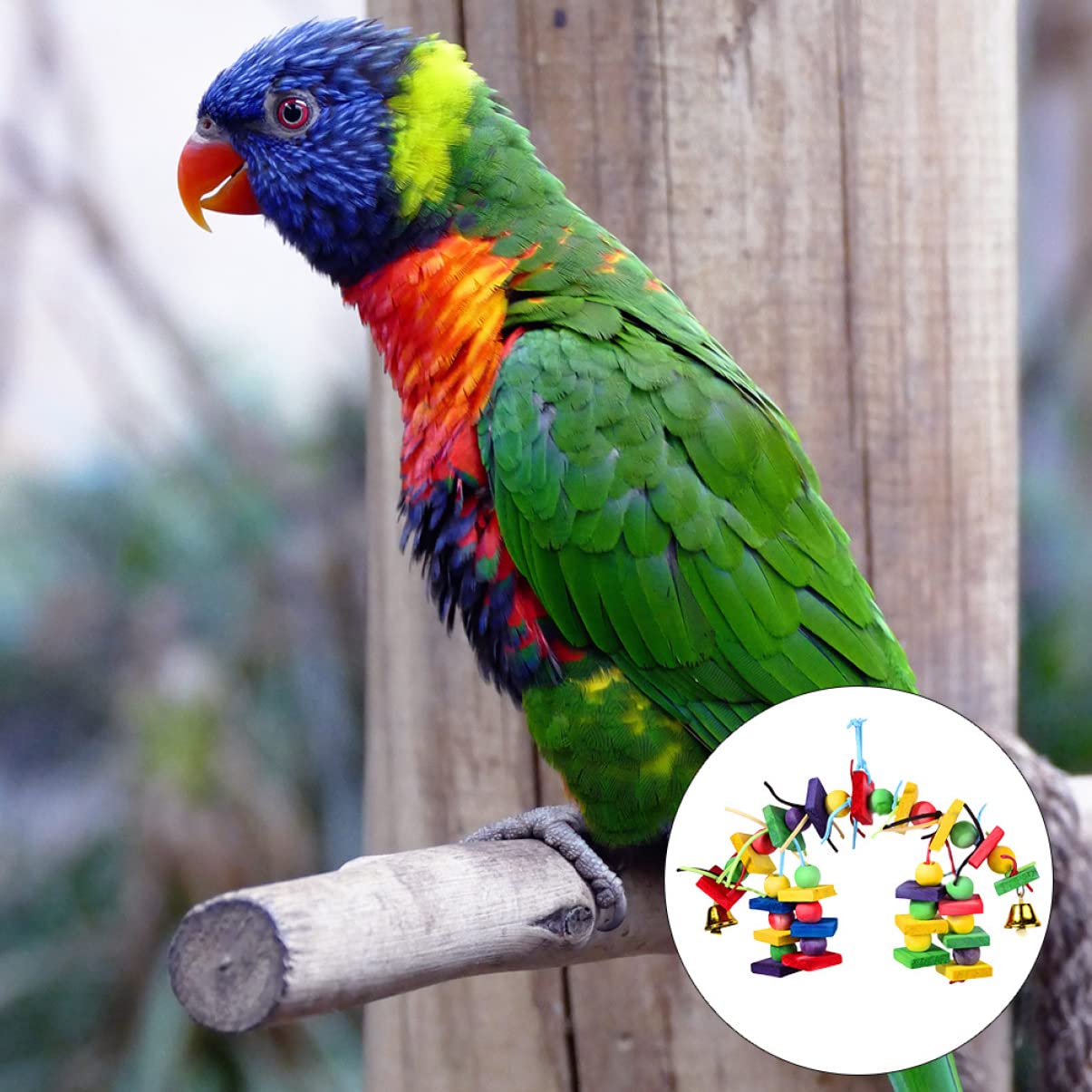 POPETPOP 3pièces Jouet à Mordre Bois pour Oiseaux Jouet Coloré pour Perroquets Et Oiseaux à Mâcher Accessoire De Jeu pour Animaux De Compagnie