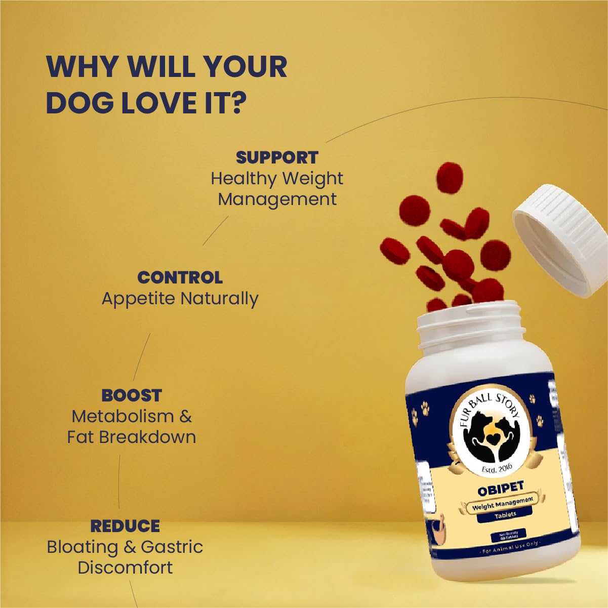 FUR BALL STORY Obipet Dog Weight Management Tablets | Controls Appetite & Metabolism Support | Helps Reduce Bloating & Supports Digestion | Ayurvedic Vet-Trusted Formula | 60 Tablets 2