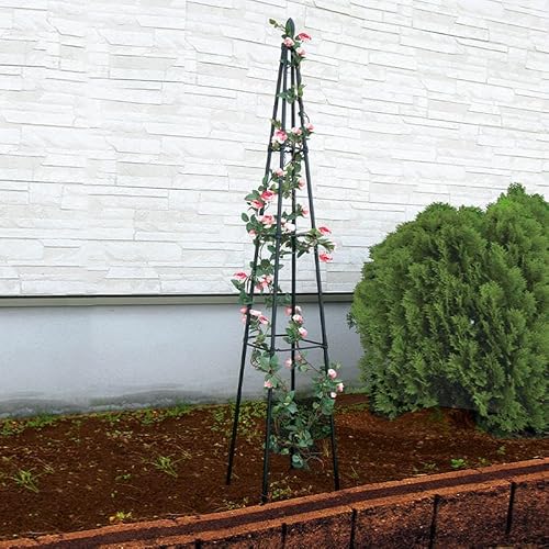 67\" Tall 4-Stake with 4-Tier Braces Plant Pot Trellis, Metal Rose Garden Trellis for Climbing Plants Outdoor Vegetable|Flower|Vine Potted Plants, 2 Pack, Black