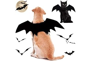 Halloween Dog Bat Wings: Transform Your Pet into a Spooky Sky-Soarer