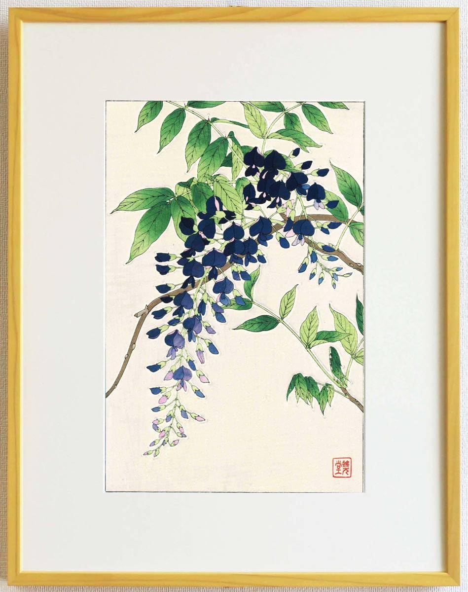 Amazon.co.jp: 額装 河原崎奨堂（18891973） 木版画 F113 藤 花