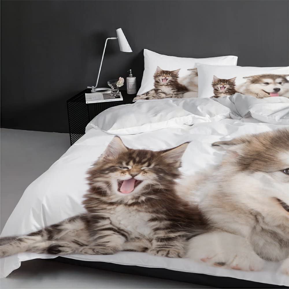 Set Copripiumino Matrimoniale 200x200cm Con Gatti - 100% Microfibra - Reversibile Verde/Grigio - 3 Pezzi