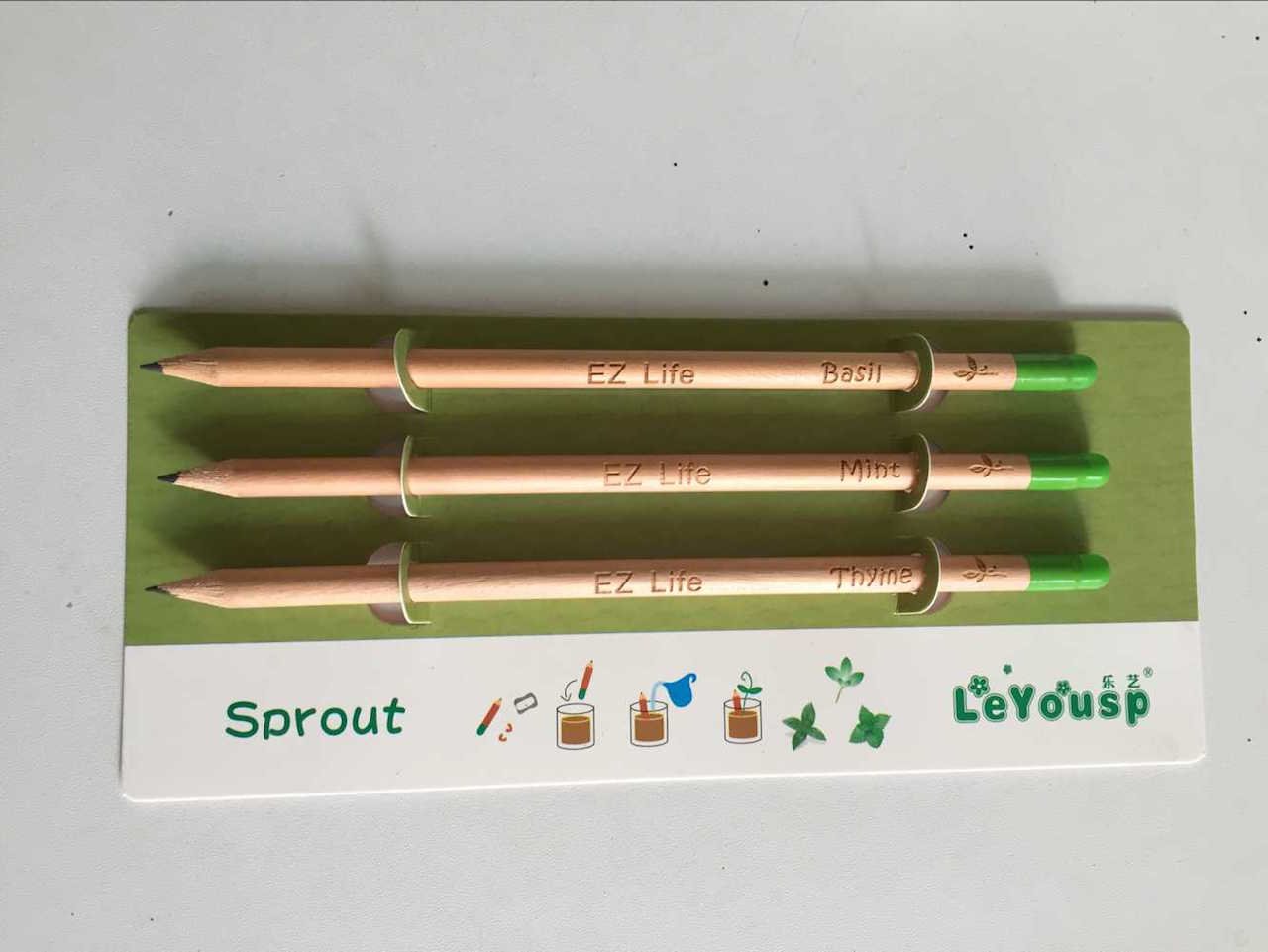 Ez Life Diy - Grow Your Pencil Plant (Pack Of 3)