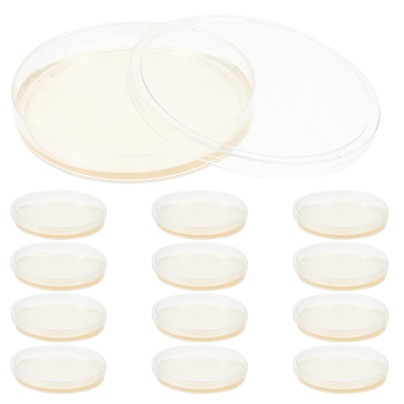 PLAFOPE Piastre di Petri in Plastica Agar Nutritivo Precolato 9 Cm per Crescita Microbica, 20 Pezzi Coperchi Ermetici per Esperimenti Scientifici in Laboratorio