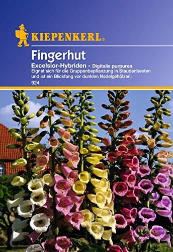 Preisvergleich Produktbild Sperli Blumensamen Fingerhut Excelsior-Hybriden, grün
