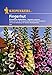 Produktbild Sperli Blumensamen Fingerhut Excelsior-Hybriden, grün