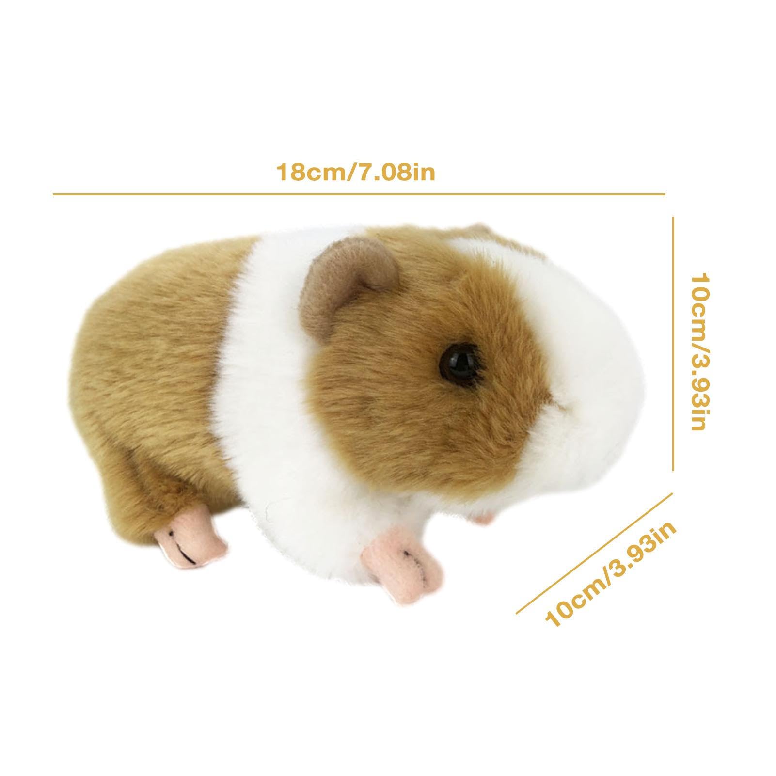 Amazon.co.jp: モルモットのぬいぐるみ - リアルなぬいぐるみ - 長さ7