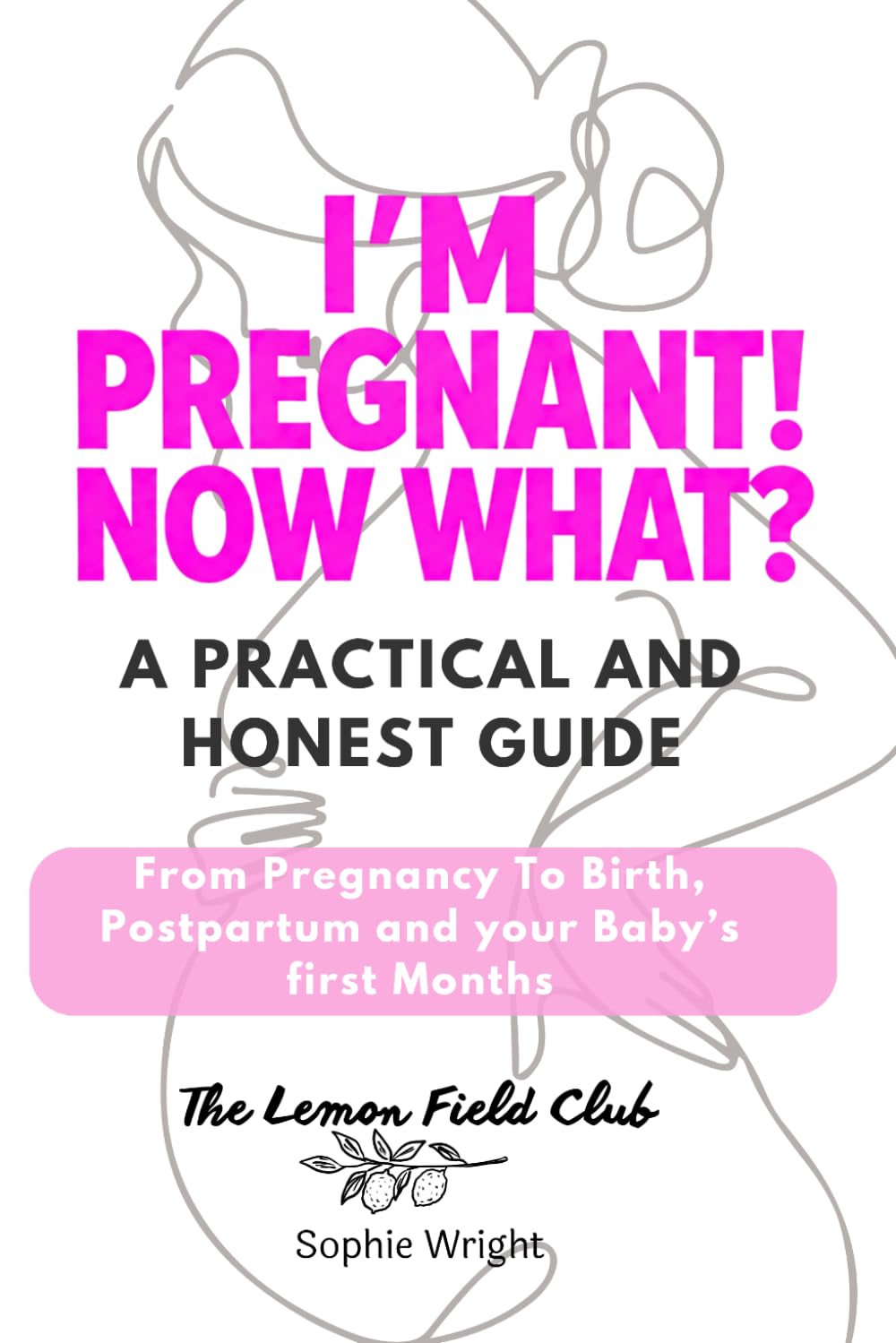 I’m Pregnant! Now What?: A Practical and Honest Guide From Pregnancy to Birth, Postpartum, and Your Baby’s First Months (Magnolia Cycle)