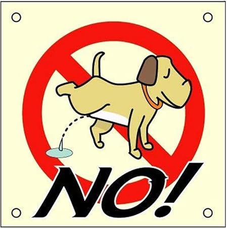 Amazon 犬の小便no ブリキ看板 注意看板メタル安全標識注意マー表示パネル金属板のブリキ看板情報サイントイレ公共場所駐車 レトロな鉄の絵画 ブリキの壁の看板警告サイン金属プラークポスターバーカフェのアート装飾 店舗看板 文房具 オフィス用品 Amazon 犬の小便no ブリキ看板 注意看板メタル安全標識注意マー表示パネル金属板のブリキ看板情報サイントイレ公共場所駐車 レトロな鉄の絵画 ブリキの壁の看板警告サイン金属プラークポスターバーカフェのアート装飾 店舗看板 文房具 オフィス用品