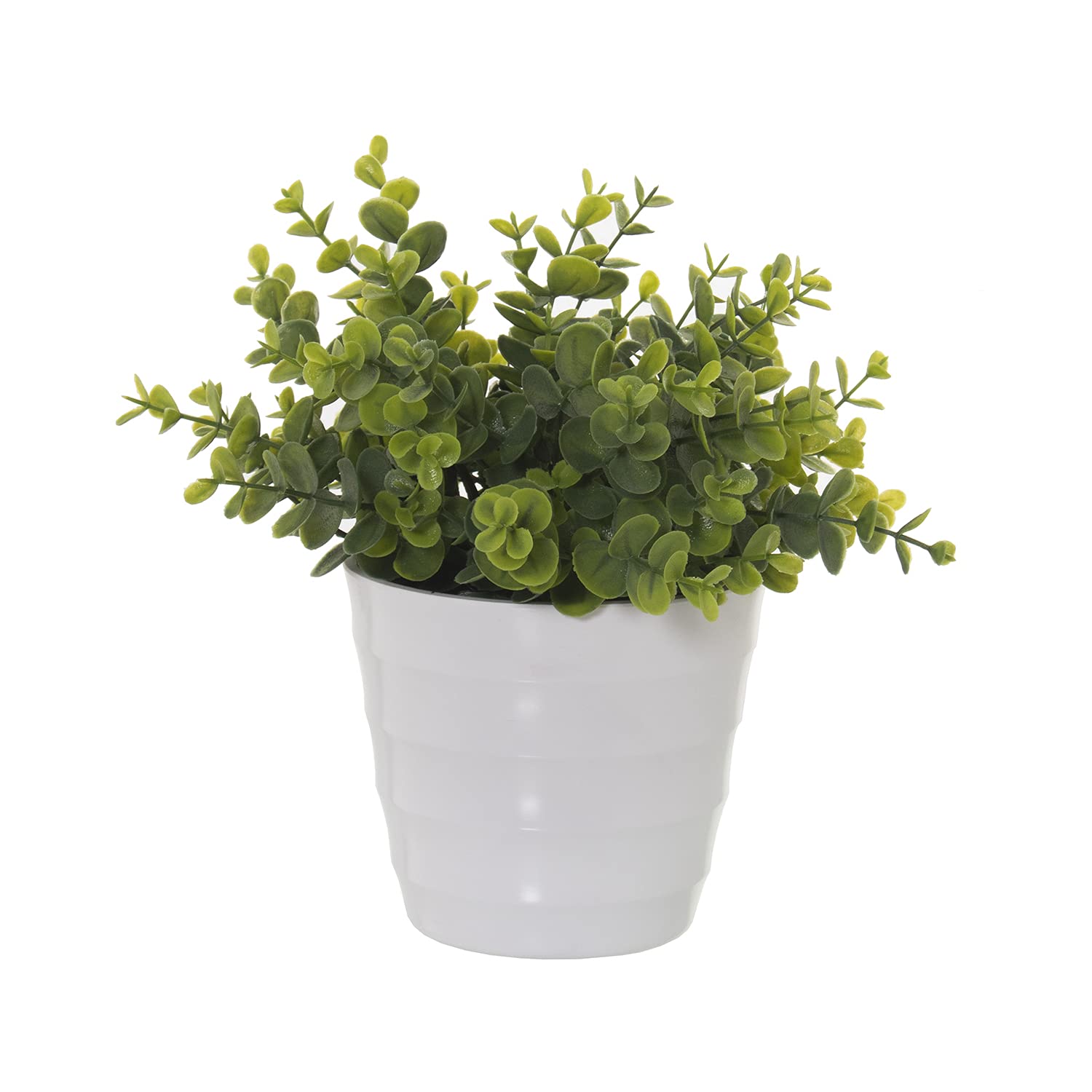 Plante crassula artificielle 25cm pour décorer un bureau ou salon sans lumière