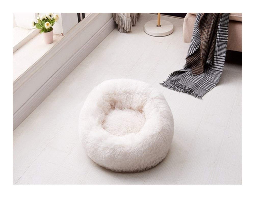 Lit pour chat et petit chien lavable blanc pour un salon apaisant