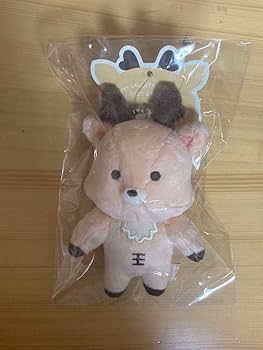 Amazon.co.jp: RIIZE ぬいぐるみ ソンチャン ウラクバム