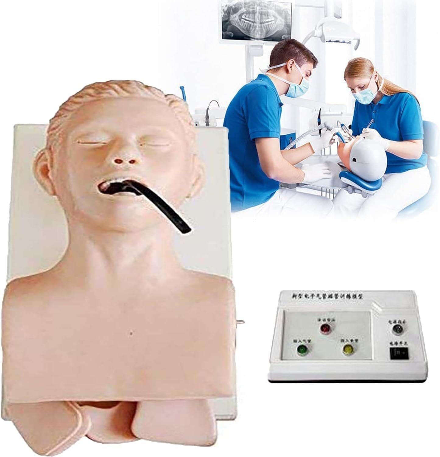 HEQIM Intubation Mannequin Training Simulator 110-220V, Airway Management Intubation Trainer, Head Teaching Learning Mannequin