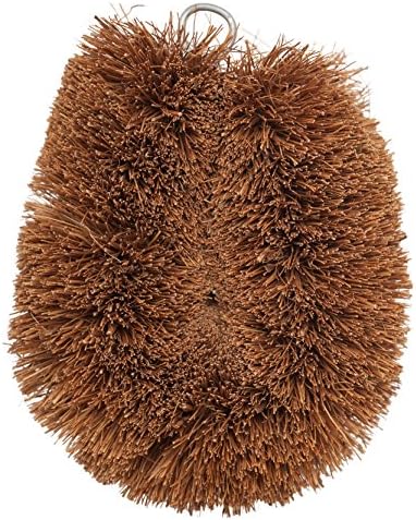 Redecker Vegetable Brush, Coconut Fiber, Set of 2, 4 x 3 inches, Natural Bristles Effectively Clean Soft and Tough-Skinned Fruits and Veggies, Wire Hanging Loop for Storage