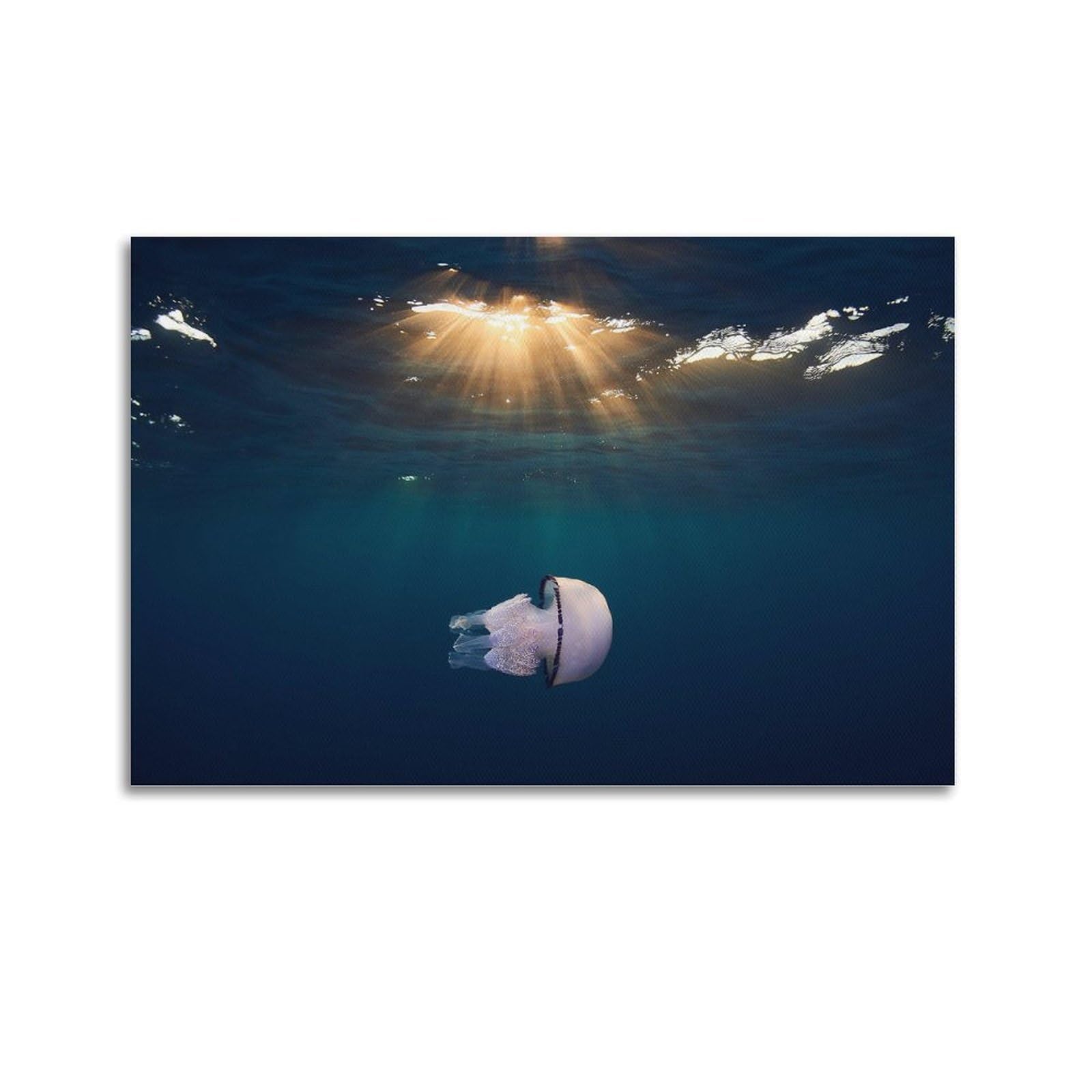 CXHJCA Sea Life Poster Cute Jellyfish Poster Decorative Painting Canvas Wall Posters And Art Picture Print Modern Family Bedroom Decor Posters 20x30inch(50x75cm)