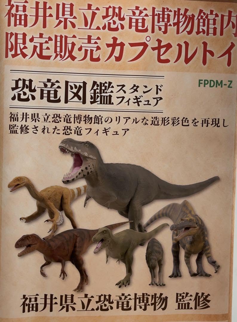 Amazon | 5種コンプ福井県立恐竜博物館内限定カプセルトイガチャ