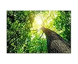 Augenblicke Wandbilder