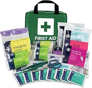 Lewis-Plast Premium First Aid Kit For Home Car Holiday And W