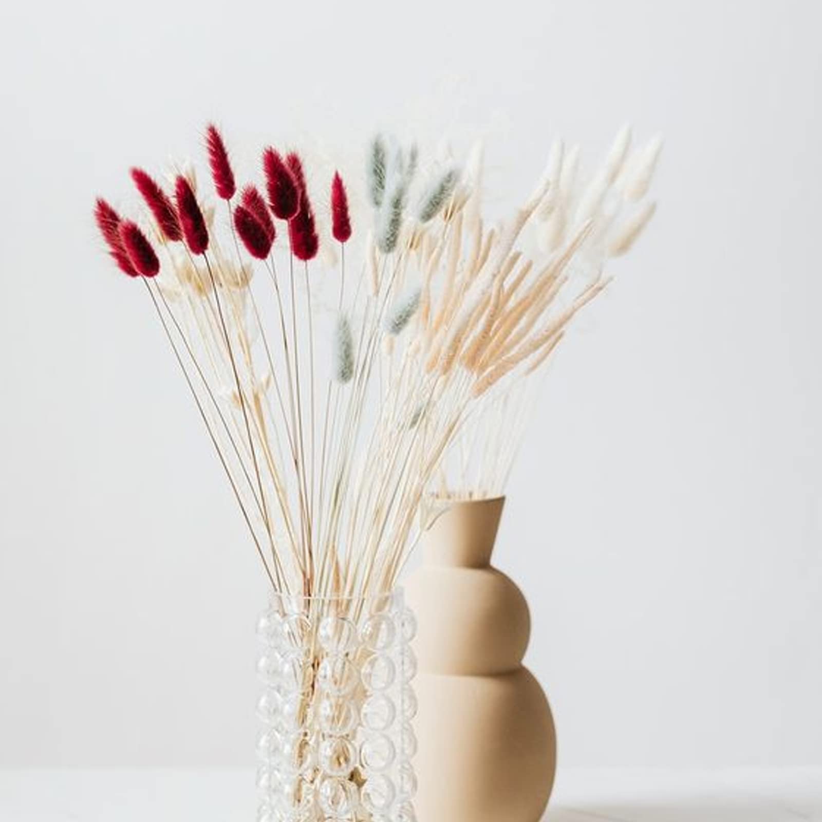 HUAESIN 120PCS Fiori Secchi Coda di Coniglio Erba della Pampas Naturali Bouquet Fiori di Pampas Erba Coda di Coniglio Rosso Pampas Decorative Secche per Casa Tavolo Festa