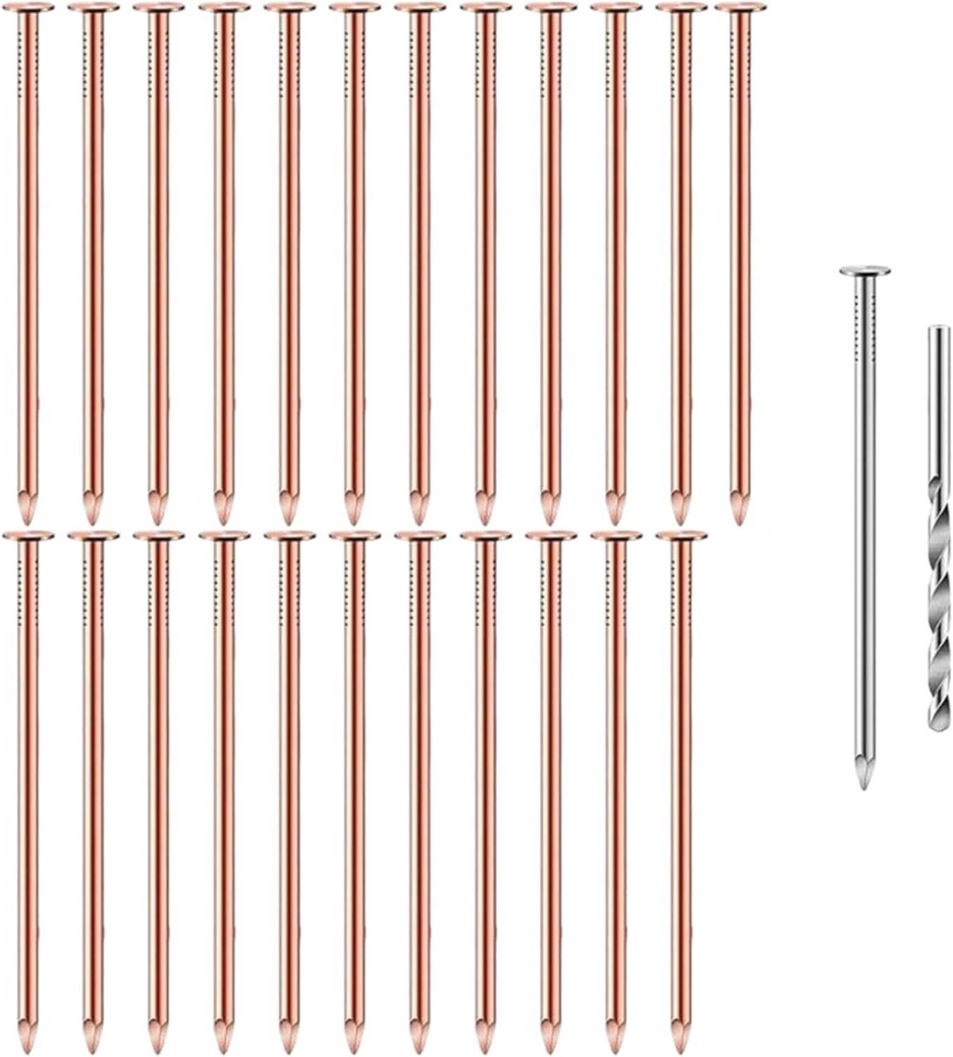 25Pcs Tree Stump Killers Coppers Nails Replacement Stump Removal Spikes Hardware for Tree Wood Working Coppers