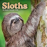 2026 Sloths Mini Wall Calendar