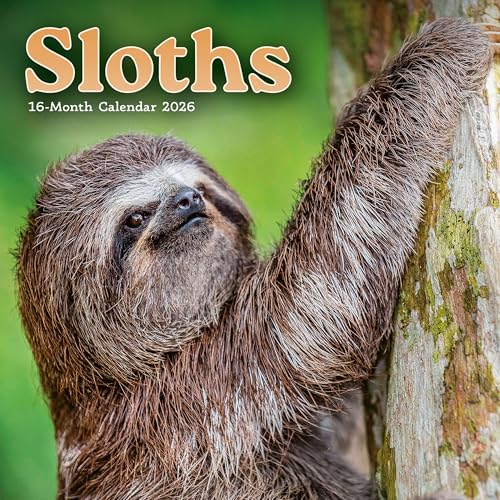 2026 Sloths Mini Wall Calendar