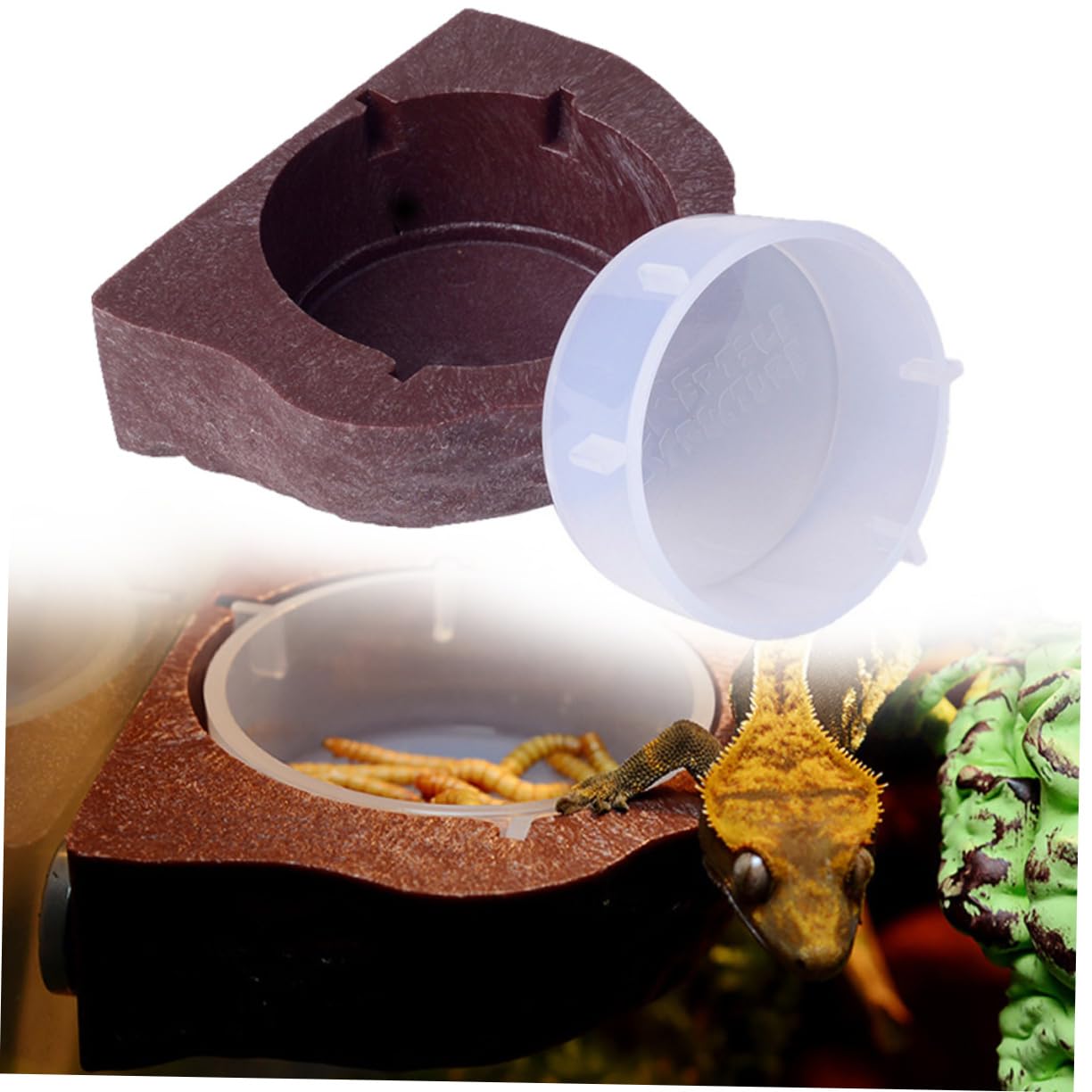 YARNOW 2 Pezzi Ciotole per Animali Domestici Sospensione Magnetica Cibo per Rettili Pentola per Gechi Camaleonti Marrone