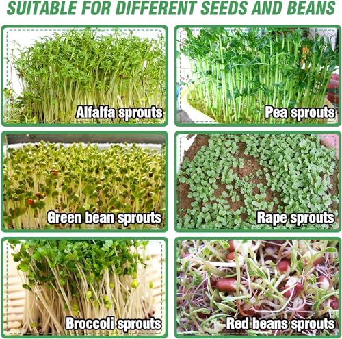 Kit de germinação de sementes de aço inoxidável, bandeja de cultivo de microgreens de 3 camadas de 1