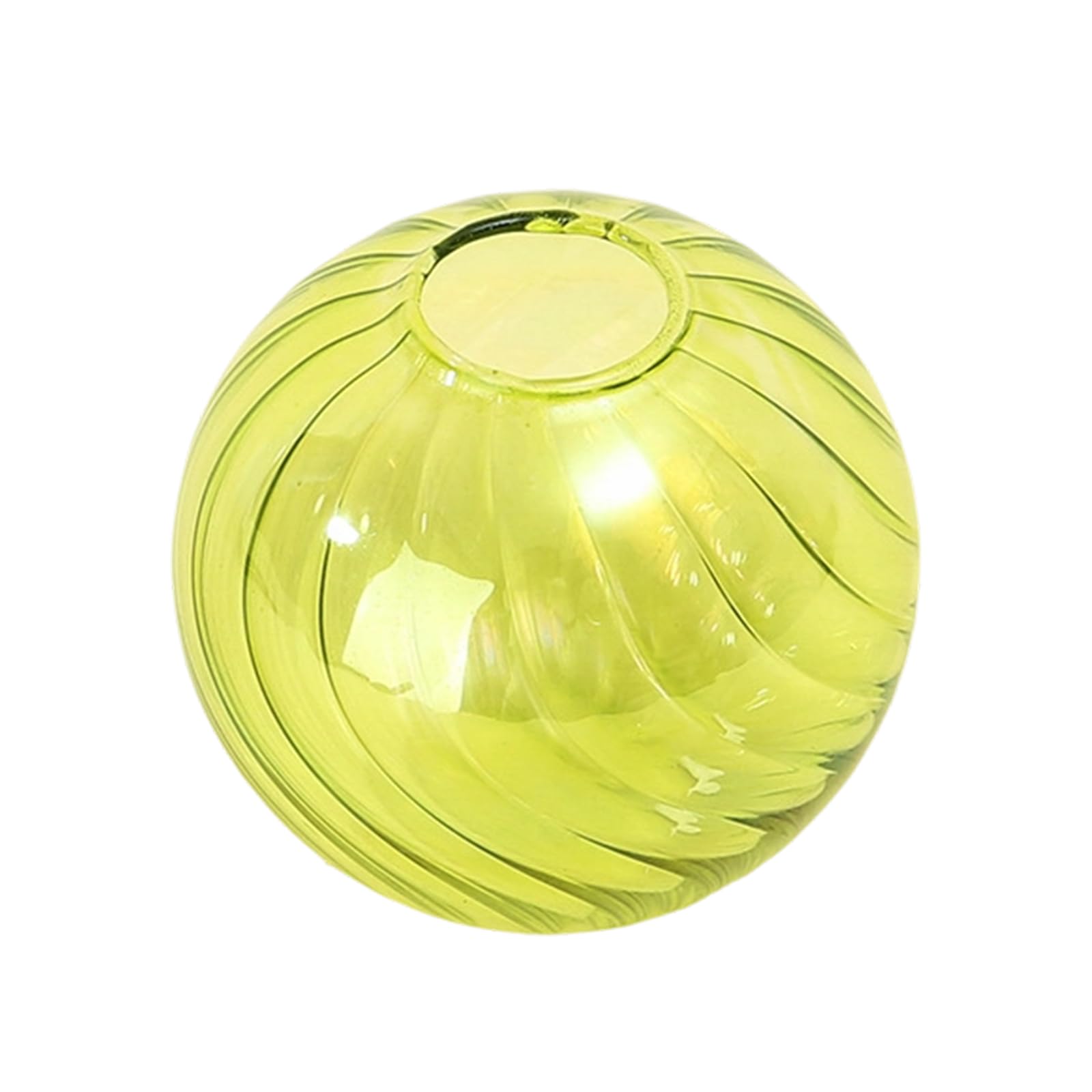 Clear Glass Ball Vases for Home Decors French Luxury Small Planter Pots Flower Arrangement Flowerpot Gift Decorative Vases