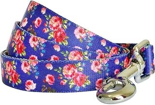 Blueberry Pet 9 Patterns Durable Spring Scent Inspired Rose Print Irish Blue Dog Leash 5 ft x 3/4", Medium, Leashes for Dogs