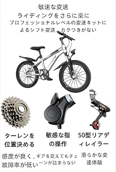 Children's Mountain Bike, Medium and Large Size for Boys and Girls, Suitable for 4-8-14 Years, Single Speed Front Shock Absorption, 20 Inch, Silver Gray Parallel Import