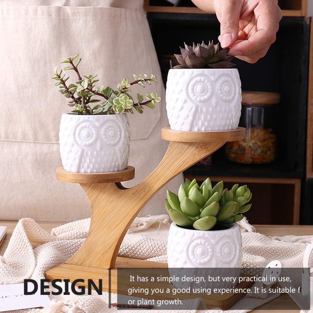 Angoily Ceramic Succulent Planter Pot with Wood Rack Small Planting Pot Planter for Garden Balcony Patio Home Desktop