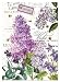 Michel Design Works Cotton Kitchen Dish Towel, Lilac/Violets