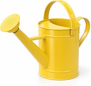 DUSVALLY 55 oz Metal Watering Can, Indoor Watering Can with Long Spout & Removable Sprinkler, Yellow Garden Watering Can for Houseplants, Flowers & Outdoor Plants